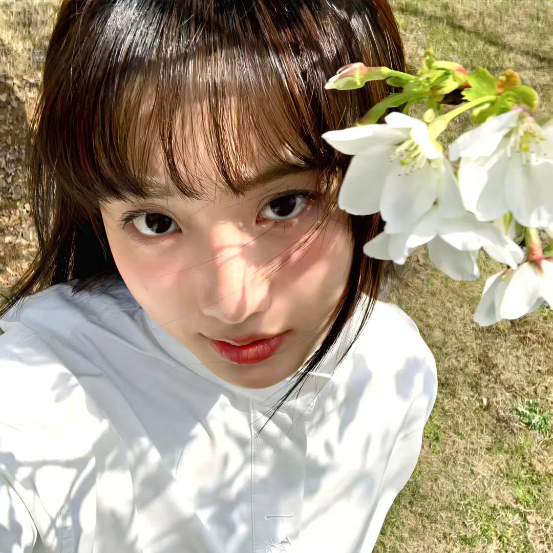 小森林 冬春篇